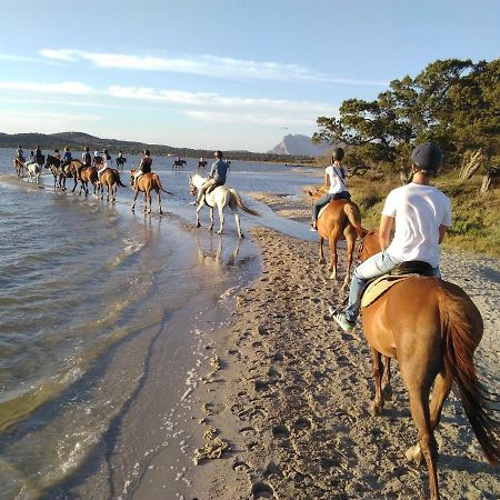 Appartamento Sette Posti Vicino Al Centro Di San Teodoro San Teodoro  Luaran gambar
