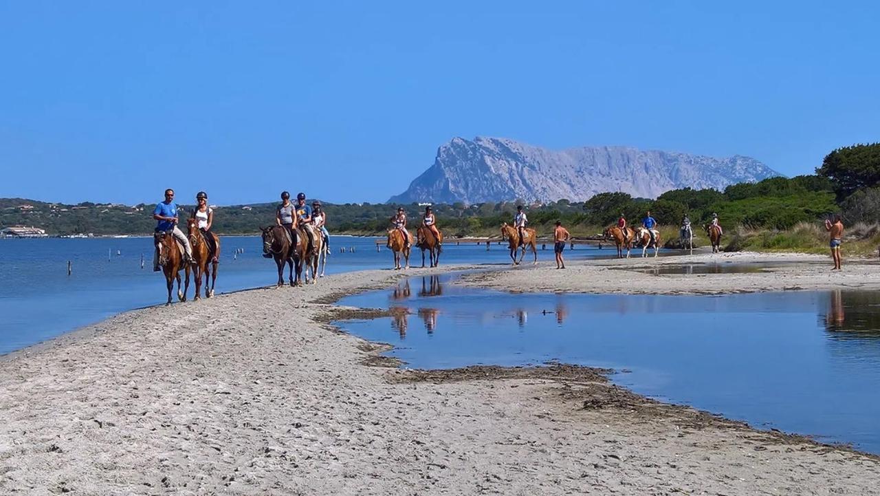 Appartamento Sette Posti Vicino Al Centro Di San Teodoro San Teodoro  Luaran gambar