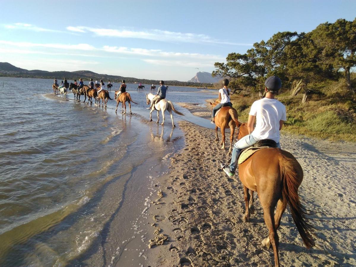 Appartamento Sette Posti Vicino Al Centro Di San Teodoro San Teodoro  Luaran gambar